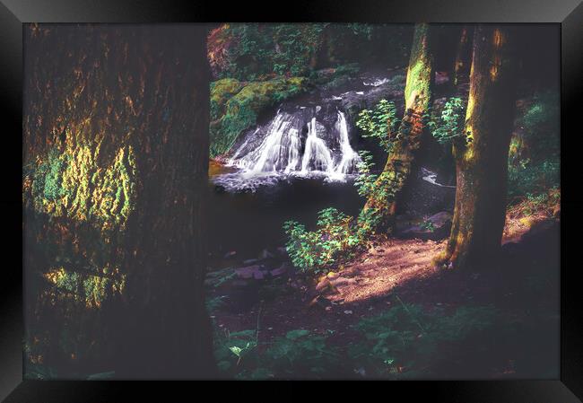 Hidden Gem Arbirlot Waterfall Scotland Framed Print by DAVID FRANCIS