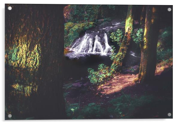 Hidden Gem Arbirlot Waterfall Scotland Acrylic by DAVID FRANCIS