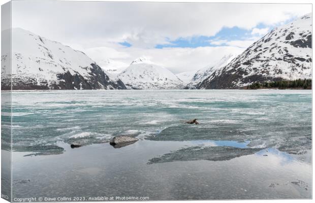 Ice sheets covering Portage Lake,  from the Begich Boggs Visitor Center with Bard Peak in the distance Canvas Print by Dave Collins