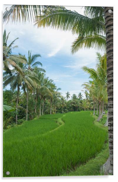 Ubud Acrylic by Richard Wareham