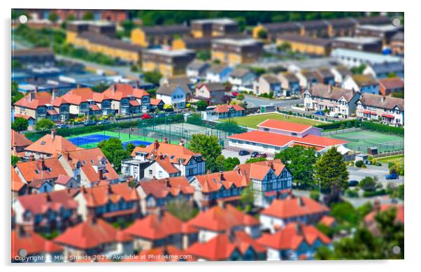Miniature Courts Amidst Verdant Rooftops Acrylic by Mike Shields