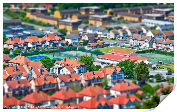 Miniature Courts Amidst Verdant Rooftops Print by Mike Shields