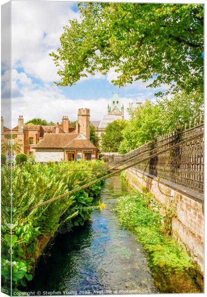 Abbey Gardens Winchester Canvas Print by Stephen Young