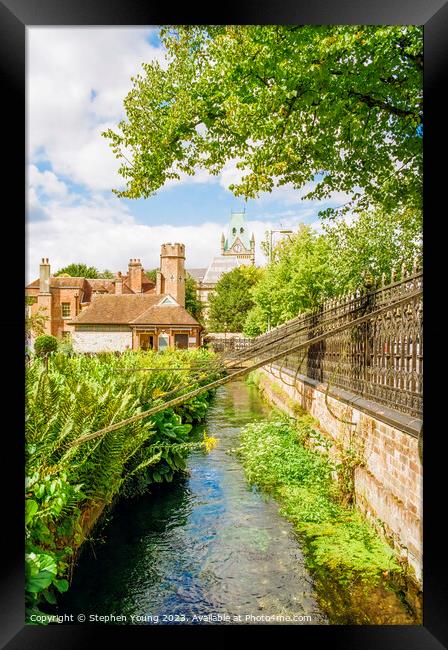 Abbey Gardens Winchester Framed Print by Stephen Young