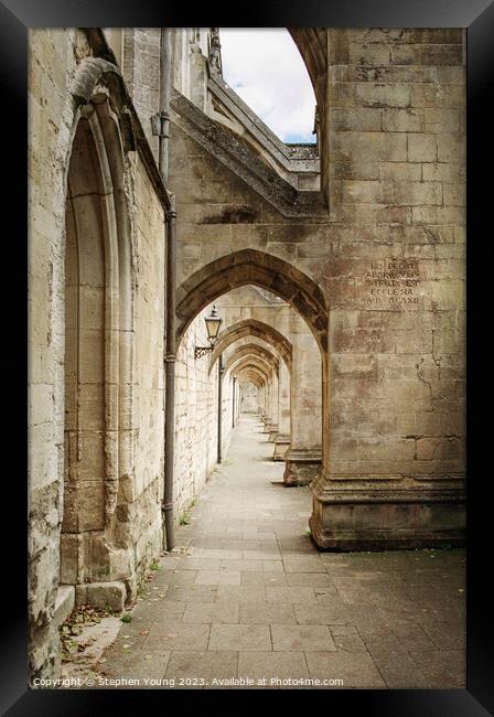 Winchester Cathedral Framed Print by Stephen Young