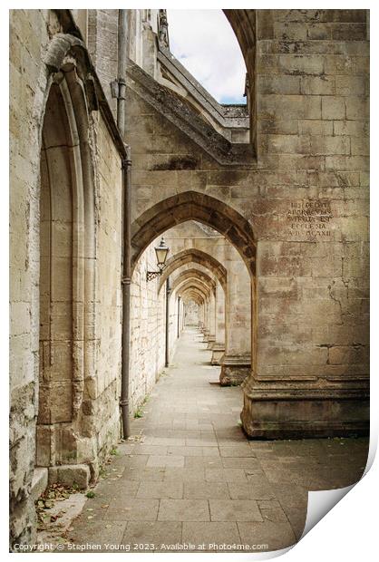 Winchester Cathedral Print by Stephen Young