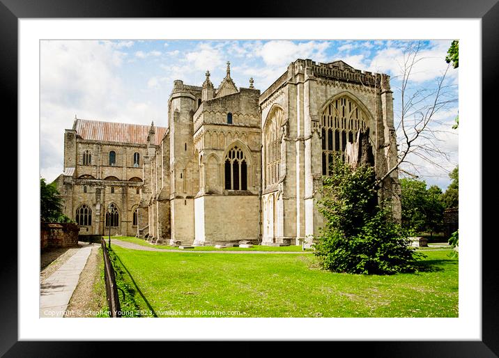 Winchester Cathedral Framed Mounted Print by Stephen Young