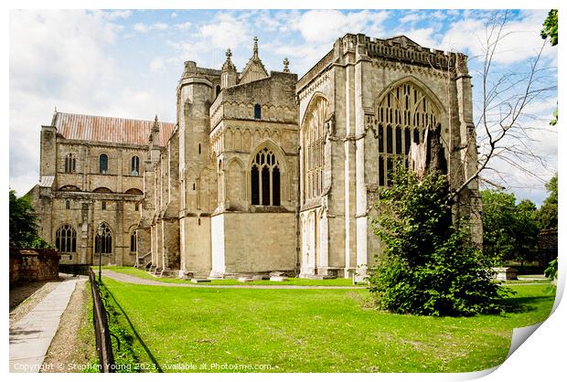 Winchester Cathedral Print by Stephen Young
