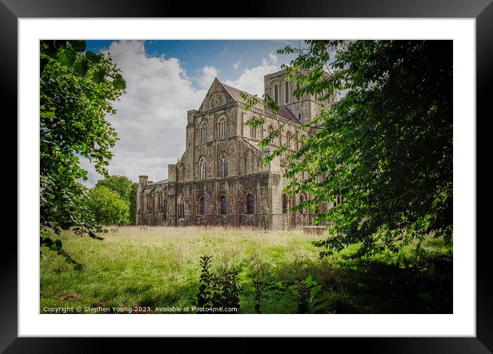 Winchester Cathedral Framed Mounted Print by Stephen Young
