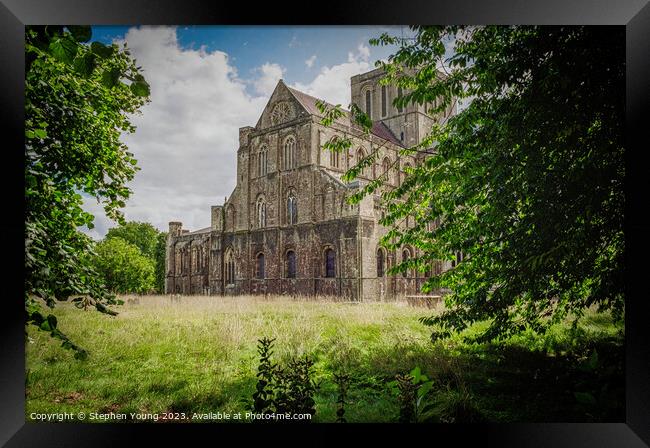 Winchester Cathedral Framed Print by Stephen Young