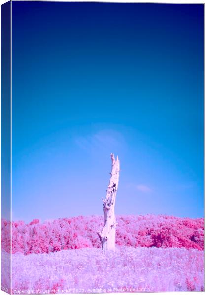 Lone Tree Infrared Image Canvas Print by Les McLuckie