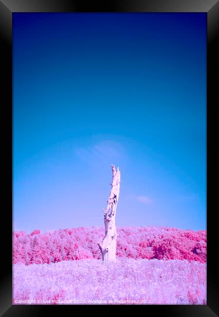 Lone Tree Infrared Image Framed Print by Les McLuckie