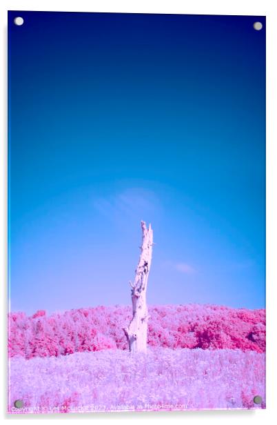 Lone Tree Infrared Image Acrylic by Les McLuckie
