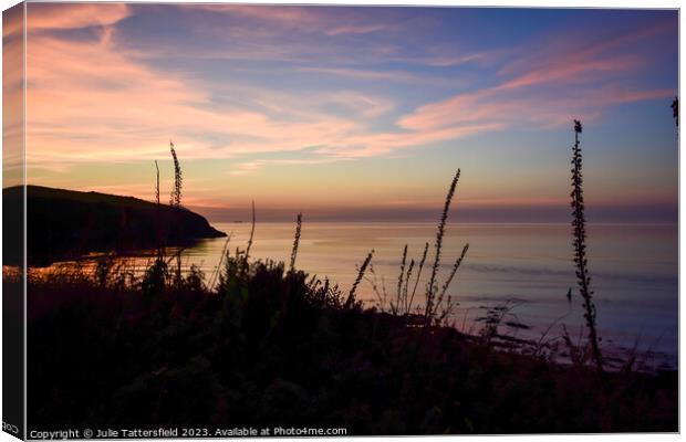 Pembrokeshire coast path sunset Canvas Print by Julie Tattersfield