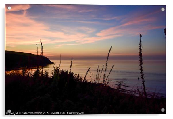 Pembrokeshire coast path sunset Acrylic by Julie Tattersfield