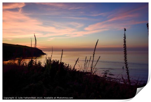 Pembrokeshire coast path sunset Print by Julie Tattersfield