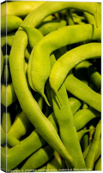 Green Beans Close-up Canvas Print by STEPHEN THOMAS