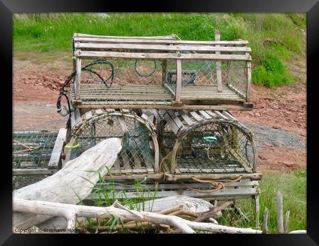 Abandoned Lobster Traps Framed Print by Stephanie Moore