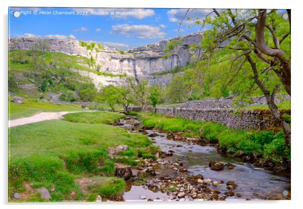 Malham Cove in the Yorkshire Dales  Acrylic by Alison Chambers