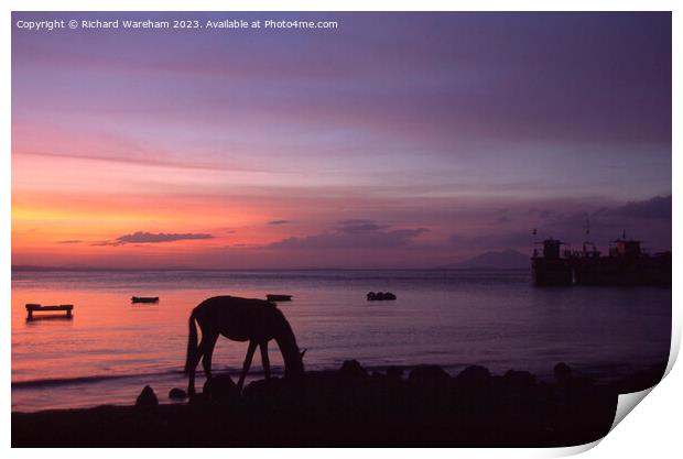 Lago de Nicaragua Print by Richard Wareham