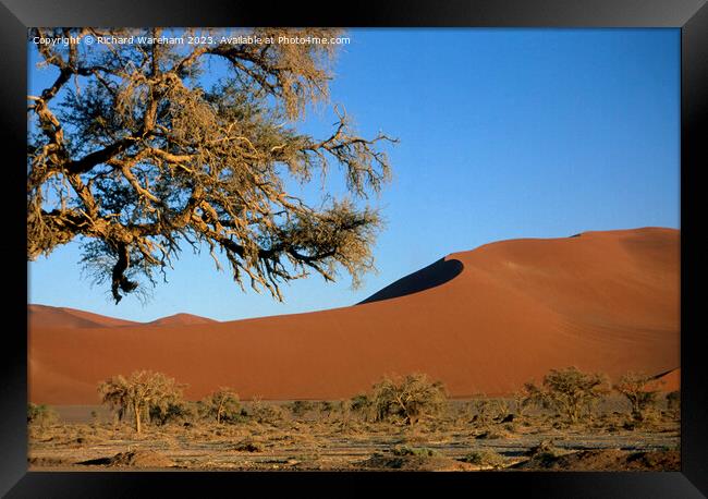 Sossusvlei Framed Print by Richard Wareham