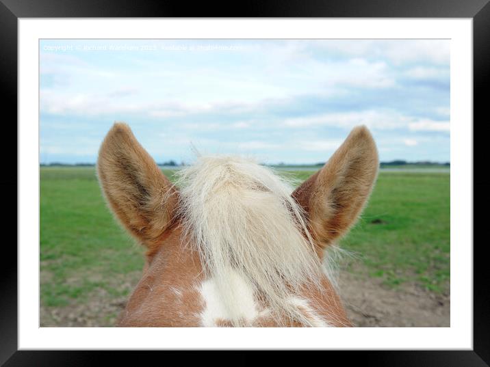  Horses ears Framed Mounted Print by Richard Wareham