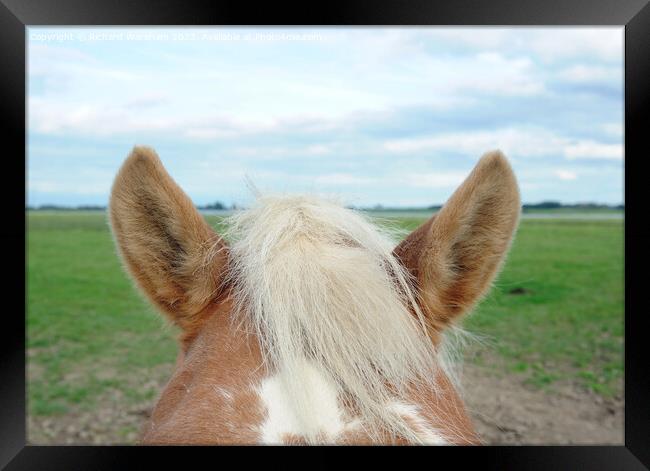  Horses ears Framed Print by Richard Wareham