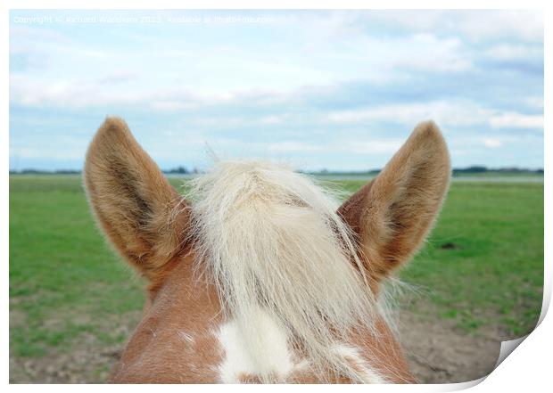  Horses ears Print by Richard Wareham