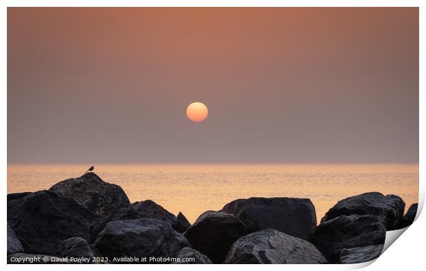 September Sunrise on Hopton Beach Print by David Powley