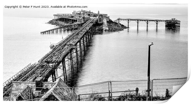 Birnbeck Pier And Island Print by Peter F Hunt