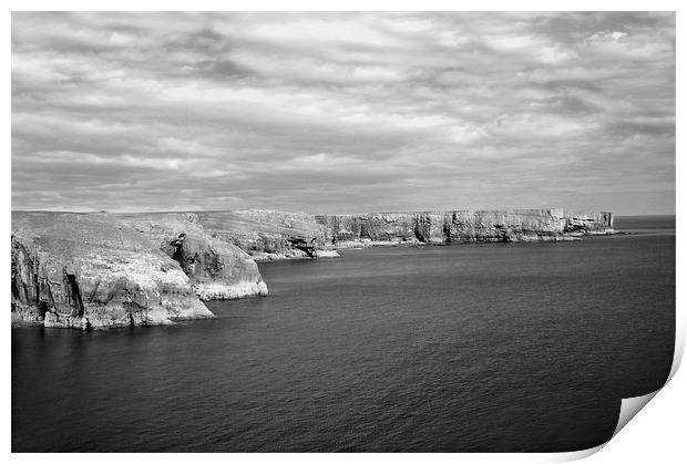 Stackpole Headland.Pembrokeshire.B+W. Print by paulette hurley