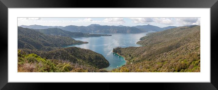 Queen Charlotte Trail  Framed Mounted Print by Richard Wareham