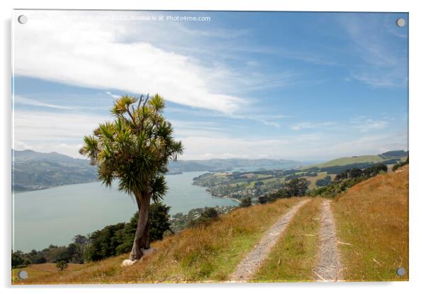 Otago Peninsula Acrylic by Richard Wareham
