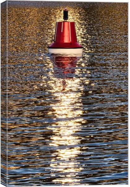 A Bright Red Buoy Canvas Print by Anne Macdonald