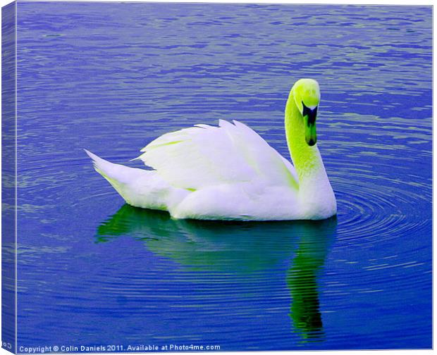 Green Crowned Swan Canvas Print by Colin Daniels