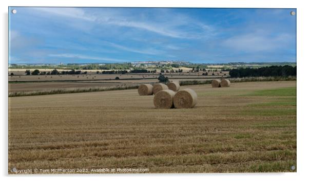 Soaring Over Kintrae: Scottish Pastoral Panorama Acrylic by Tom McPherson