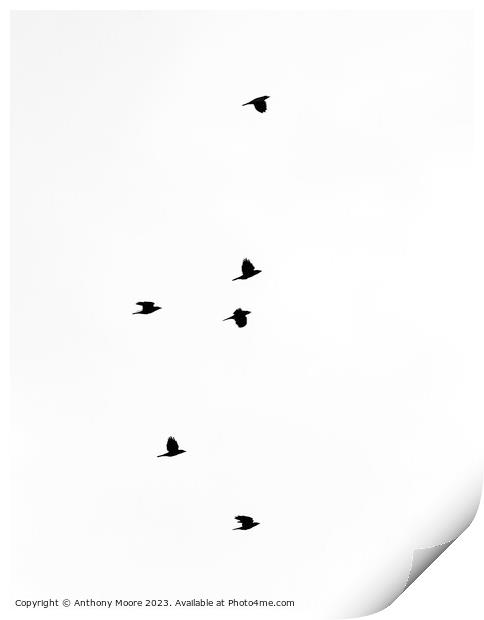 Skyward Seagulls in Synchrony Print by Anthony Moore