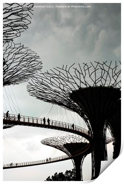 Singapore Supertree Grove Print by Richard Wareham