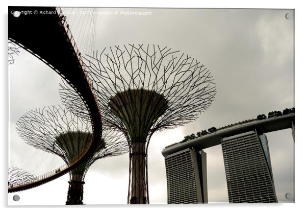 Singapore Supertree Grove Acrylic by Richard Wareham