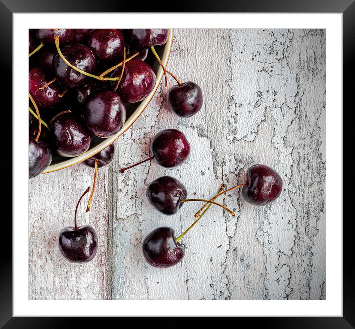 Delightful Cherry Cascade Framed Mounted Print by Mike Shields