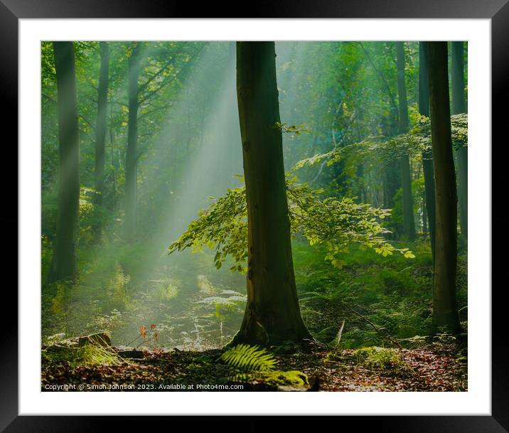 Woodland light Framed Mounted Print by Simon Johnson