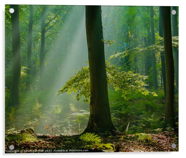 Woodland light Acrylic by Simon Johnson