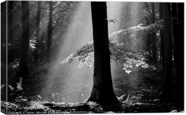 Ethereal Forest  Canvas Print by Simon Johnson