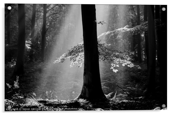Ethereal Forest  Acrylic by Simon Johnson