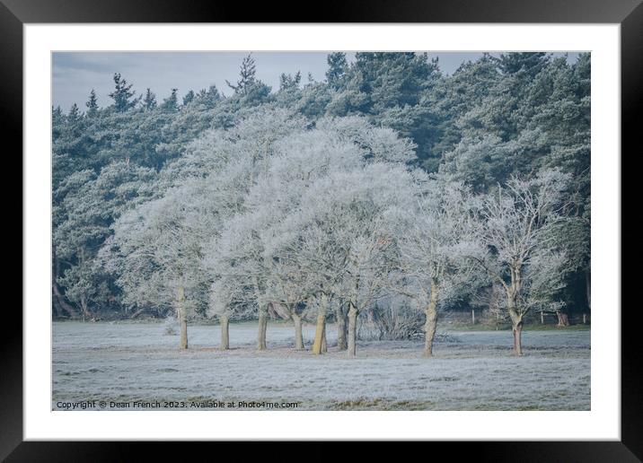 Winter at Cranwich Heath Framed Mounted Print by Dean French