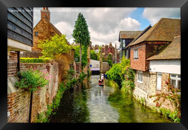 Canterbury River Stour Framed Print by Alison Chambers