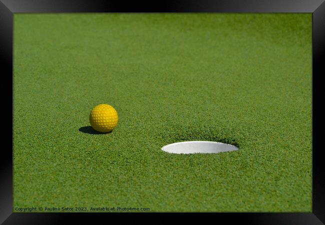 Mini golf course Framed Print by Paulina Sator