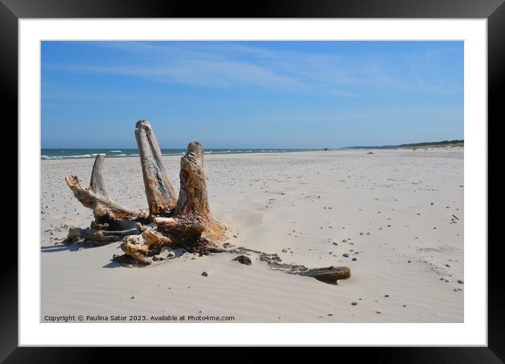 Baltic Sea coast and wild beach  Framed Mounted Print by Paulina Sator