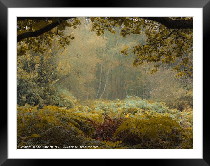 Enchanted Forest Solitude Framed Mounted Print by Alan Dunnett