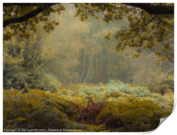 Enchanted Forest Solitude Print by Alan Dunnett